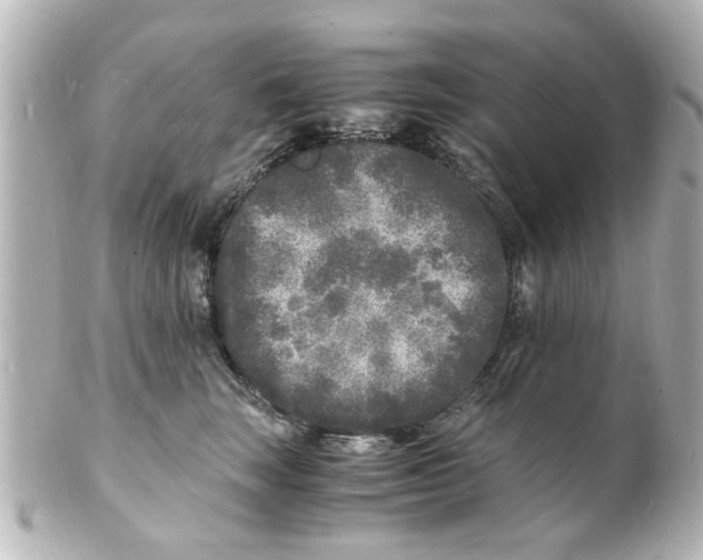 X0000101480663200808041129