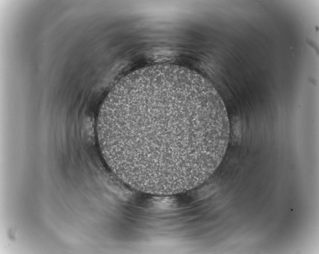 X0000101480667200808041129