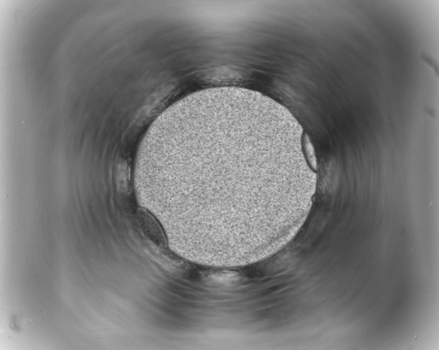 X0000101480669200808041130