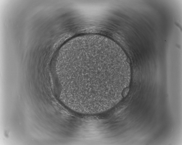 X0000101480673200808041129