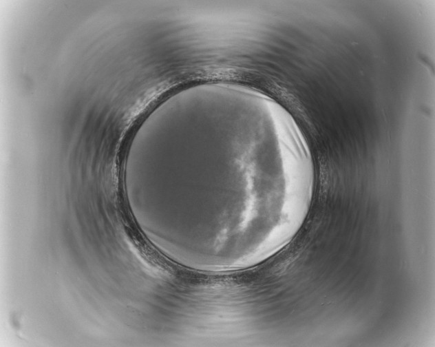 X0000101480674200808041129