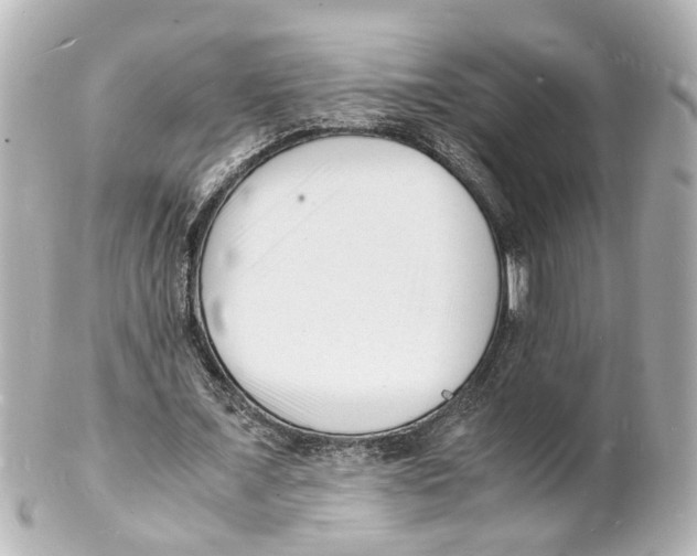 X0000101480675200808041129