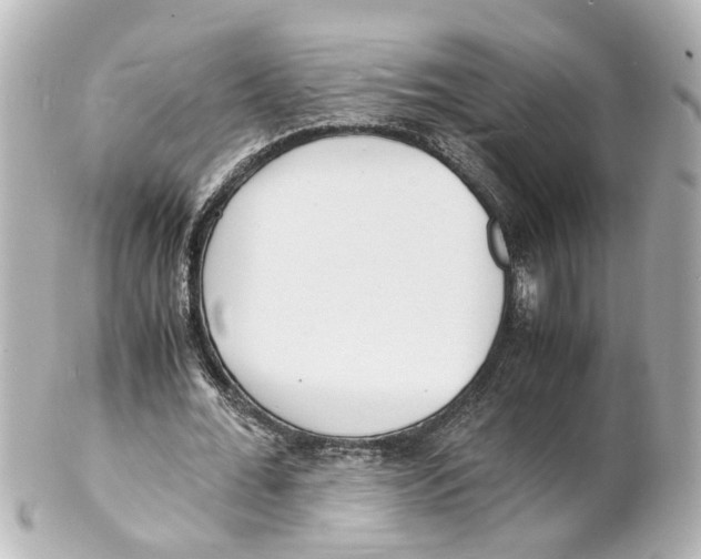 X0000101480676200808041129