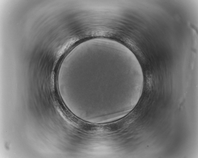 X0000101480678200808041129