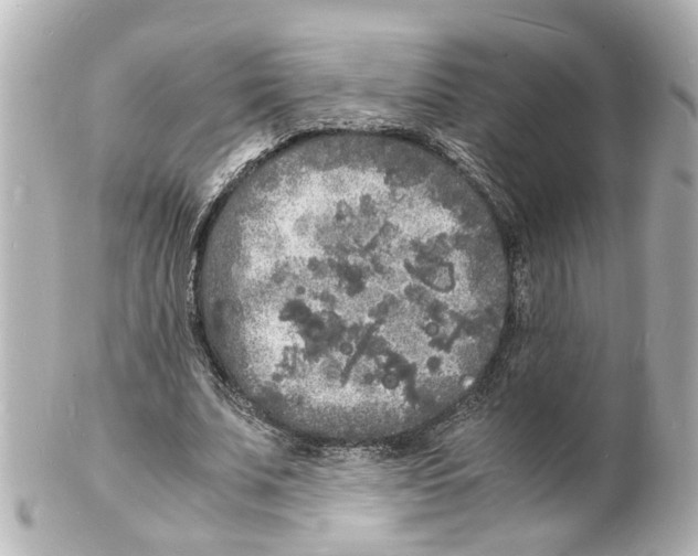 X0000101480679200808041129