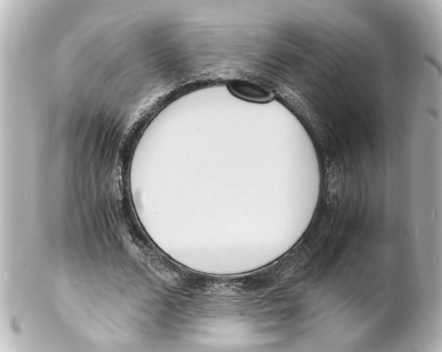 X0000101480680200808041129