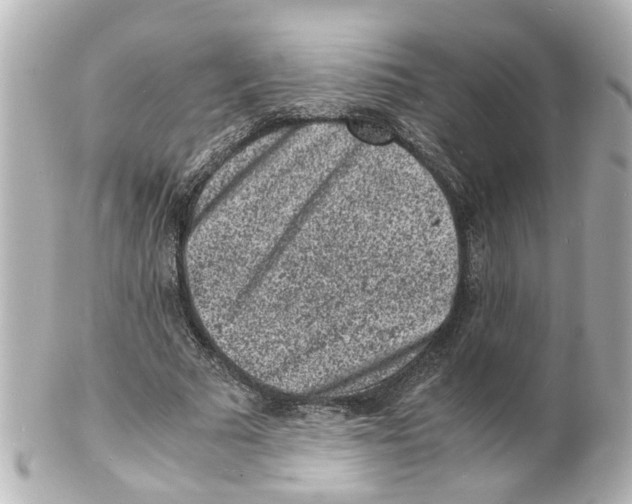 X0000101480681200808041128