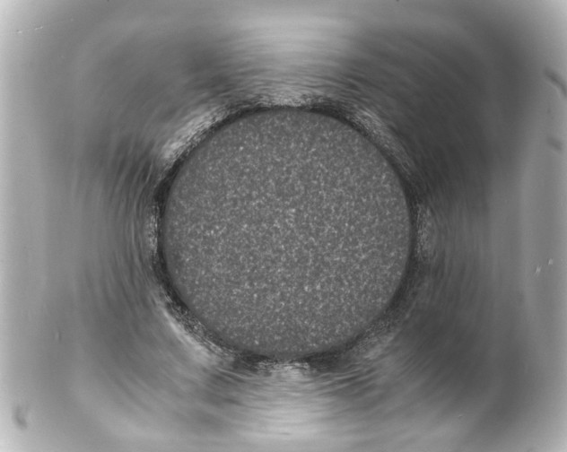 X0000101480683200808041128