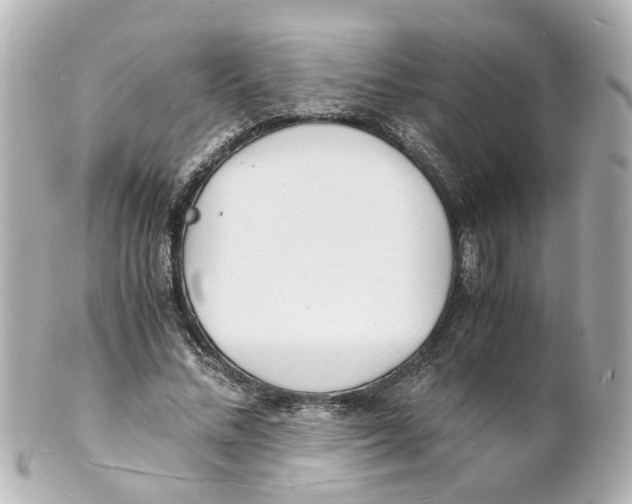 X0000101480684200808041128