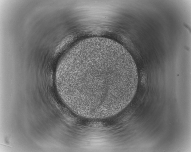 X0000101480685200808041128