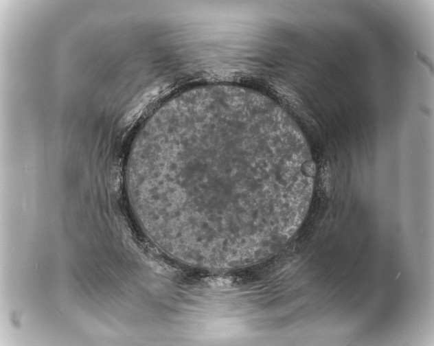 X0000101480687200808041128