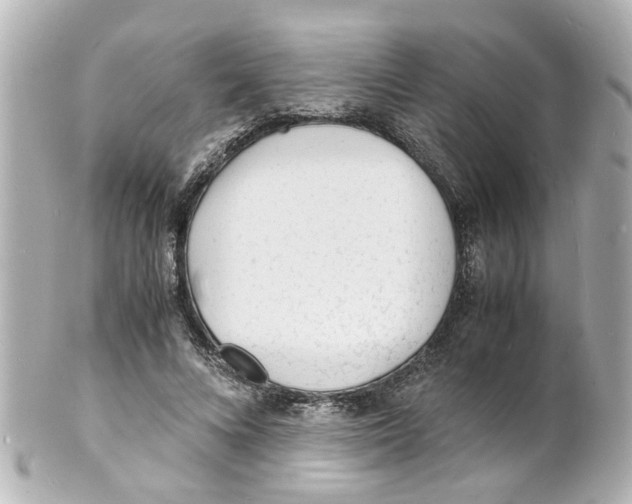 X0000101480688200808041128