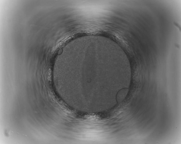 X0000101480689200808041128