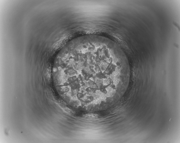 X0000101480691200808041128