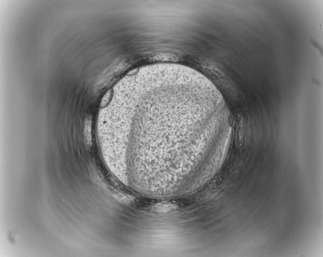 X0000101480696200808041128