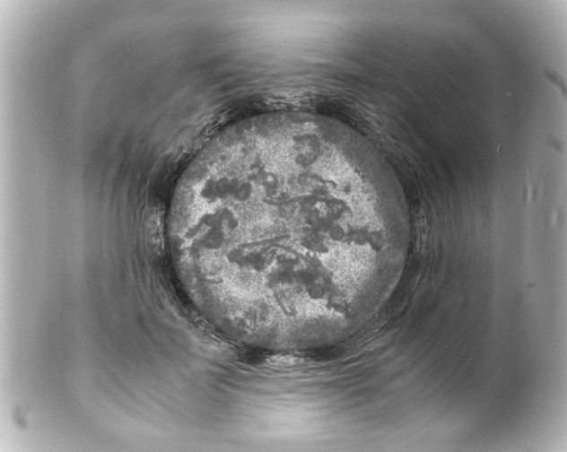 X0000101480699200808041128