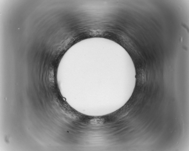 X0000101480700200808041128