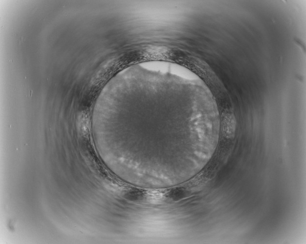 X0000101480701200808041128