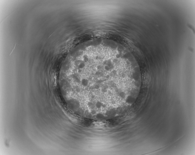 X0000101480703200808041128