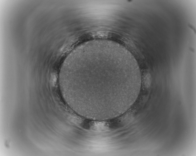 X0000101480709200808041128