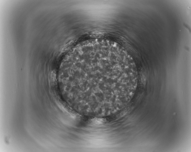 X0000101480711200808041128