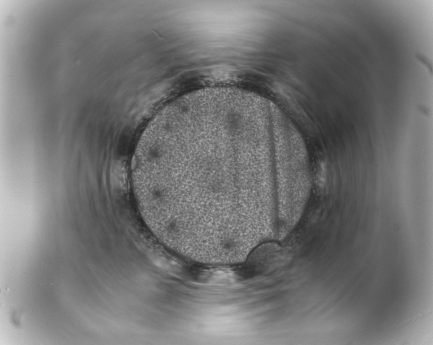 X0000101480715200808041128