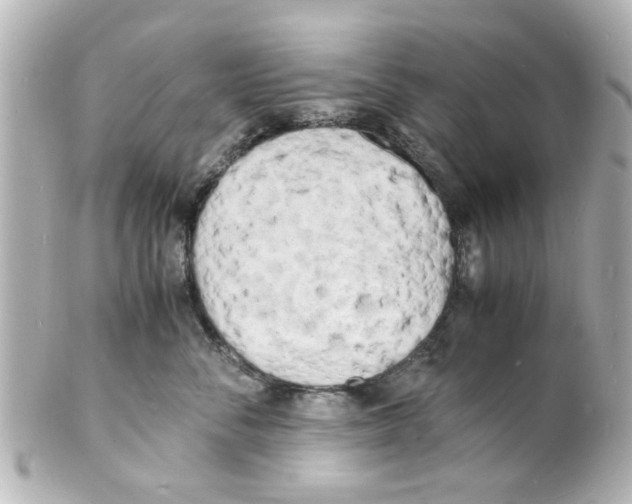 X0000101480716200808041128