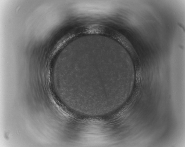 X0000101480722200808041127