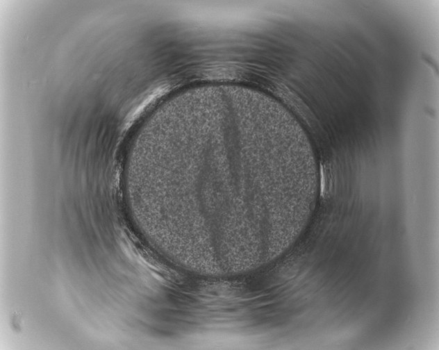 X0000101480723200808041127