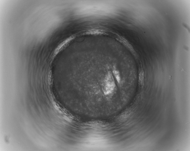 X0000101480724200808041127