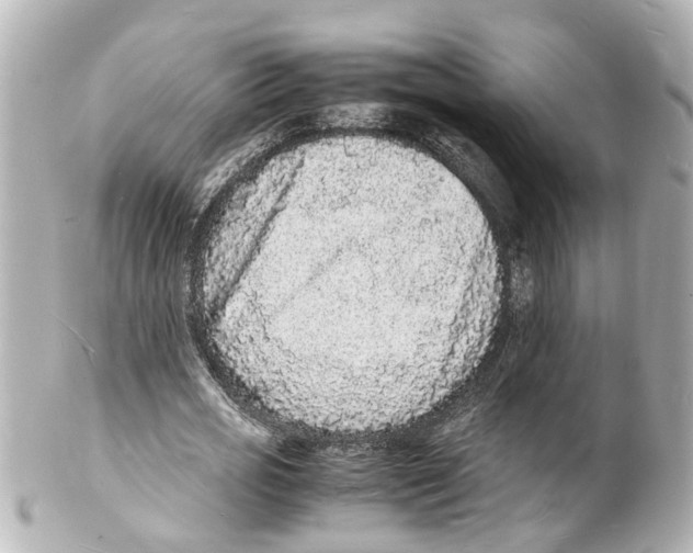 X0000101480725200808041127