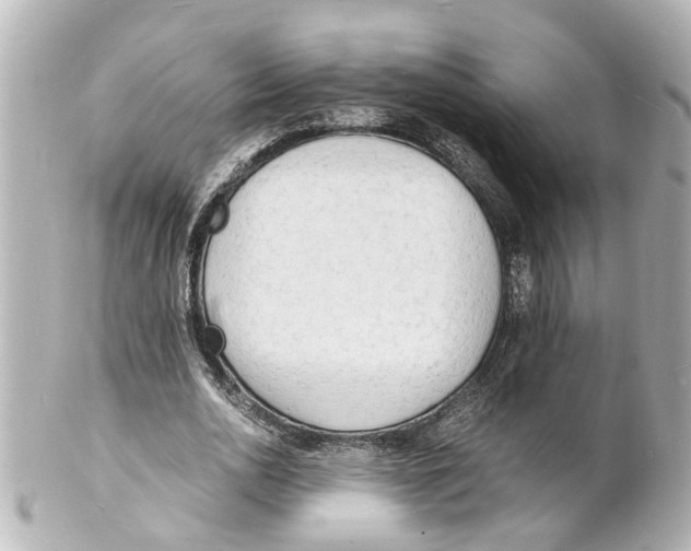 X0000101480726200808041127