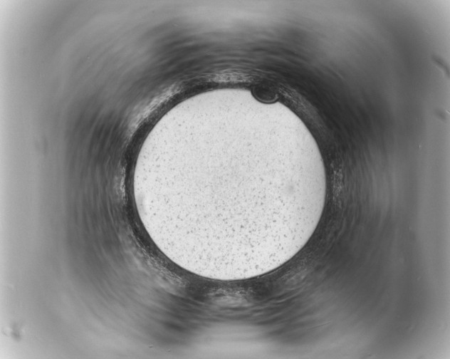 X0000101480727200808041127