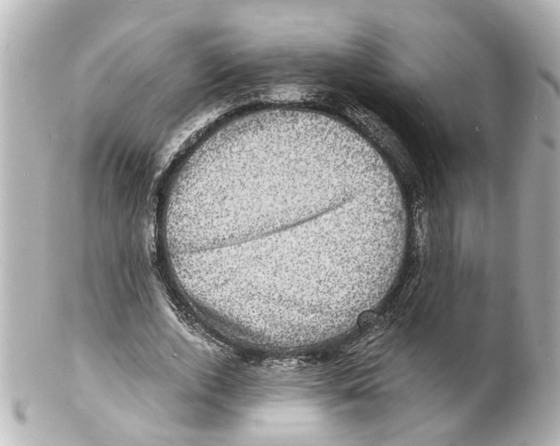 X0000101480728200808041127