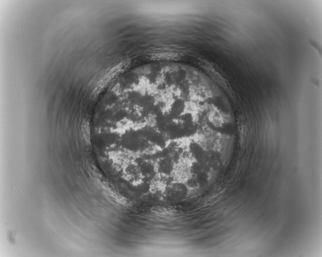 X0000101480729200808041127