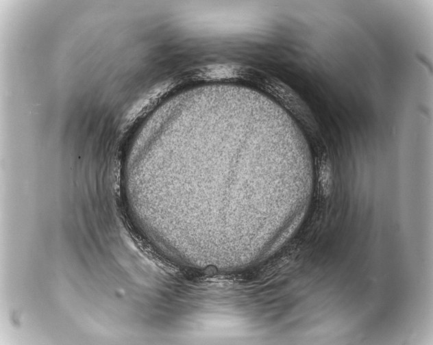 X0000101480732200808041127