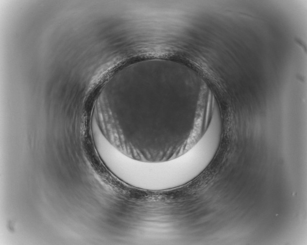 X0000101480736200808041128