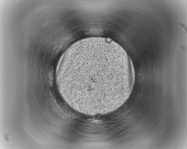 X0000101480739200808041128