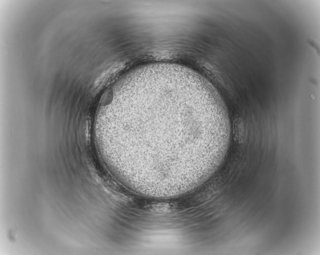 X0000101480740200808041128