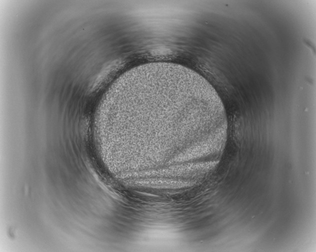 X0000101480742200808041128