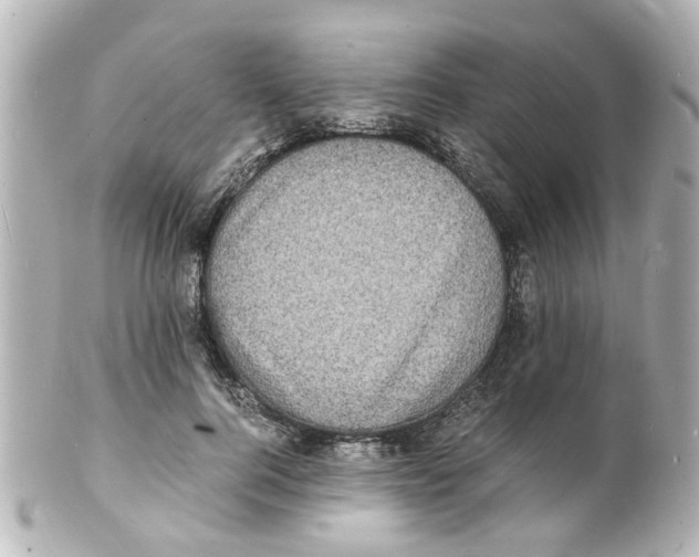 X0000101480744200808041128