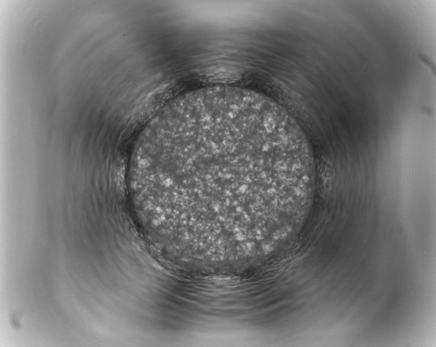 X0000101480745200808041128