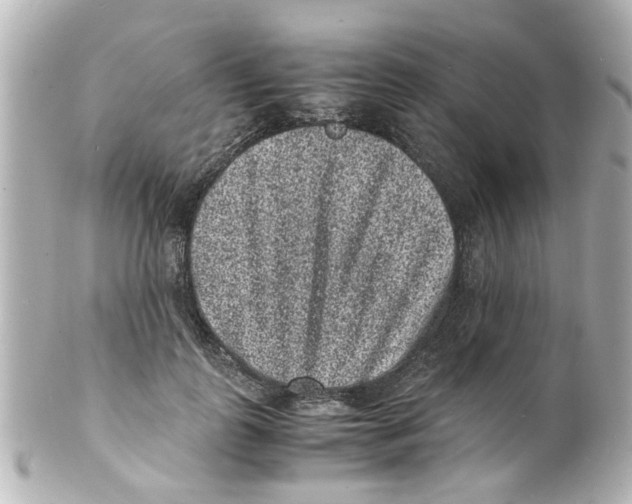 X0000101480747200808041128