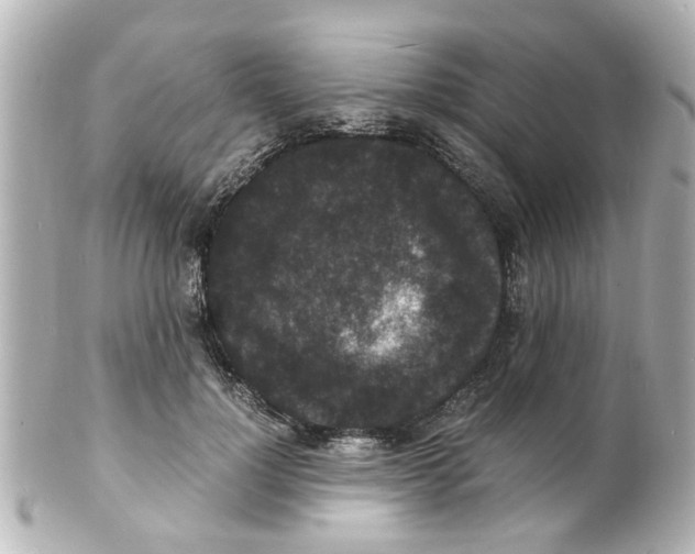 X0000101480748200808041128