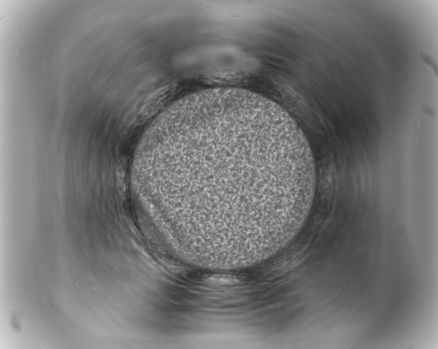 X0000101480749200808041128