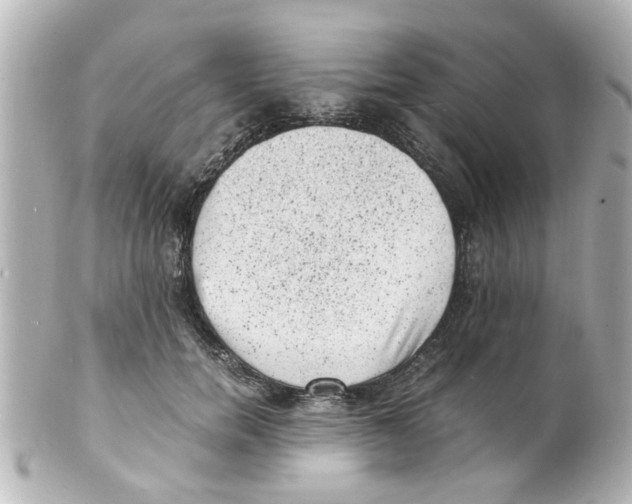 X0000101480750200808041128