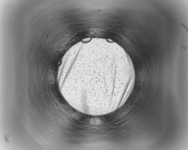 X0000101480751200808041128