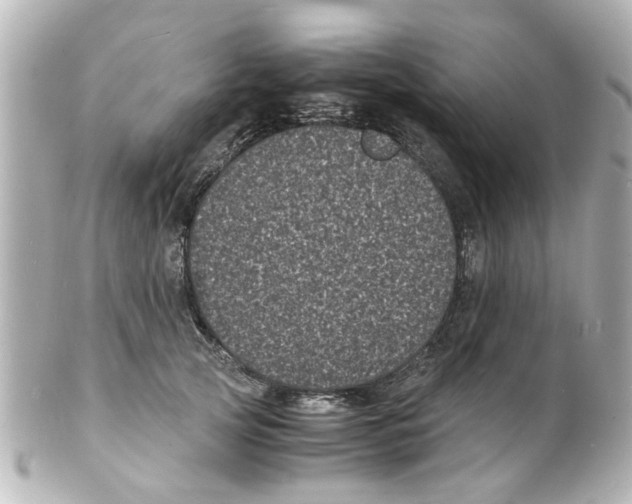 X0000101480753200808041128