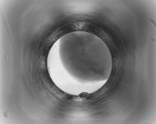 X0000101480754200808041128