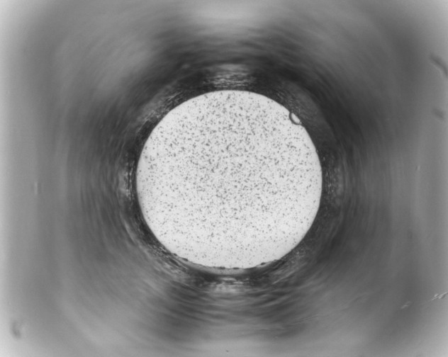 X0000101480755200808041128